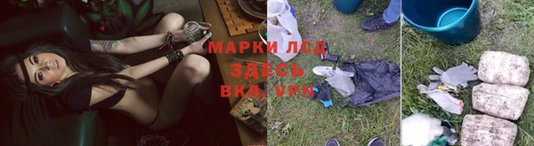 apvp Алексин