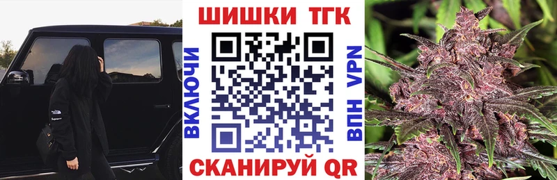 mega ТОР  Сасово  Бошки Шишки план 